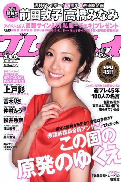 执笔电视剧免费播放